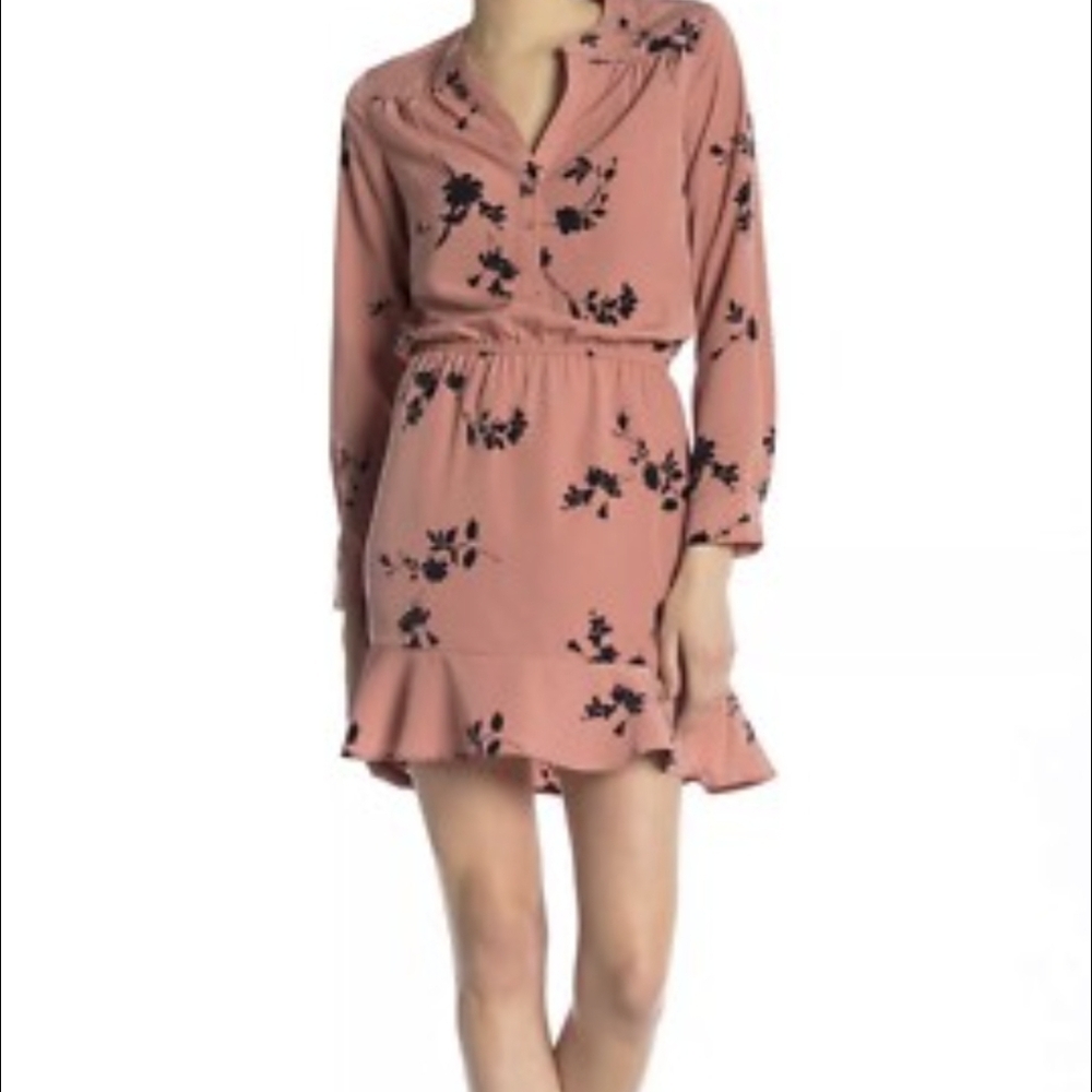 Joie Floral Dress